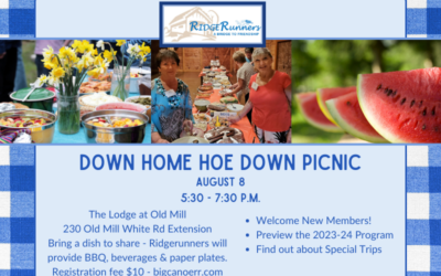Down Home Hoe Down Picnic